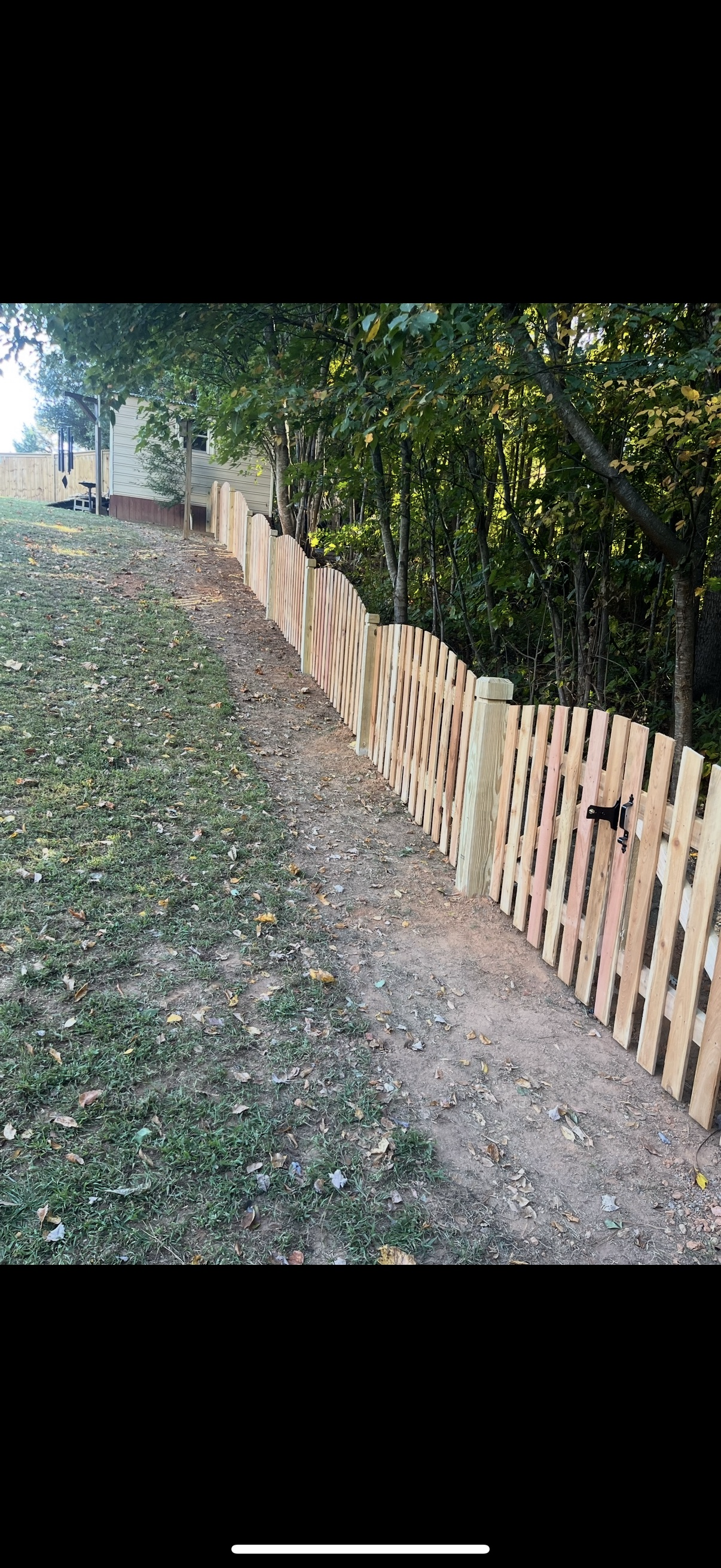 4 ft Scallop Cedar